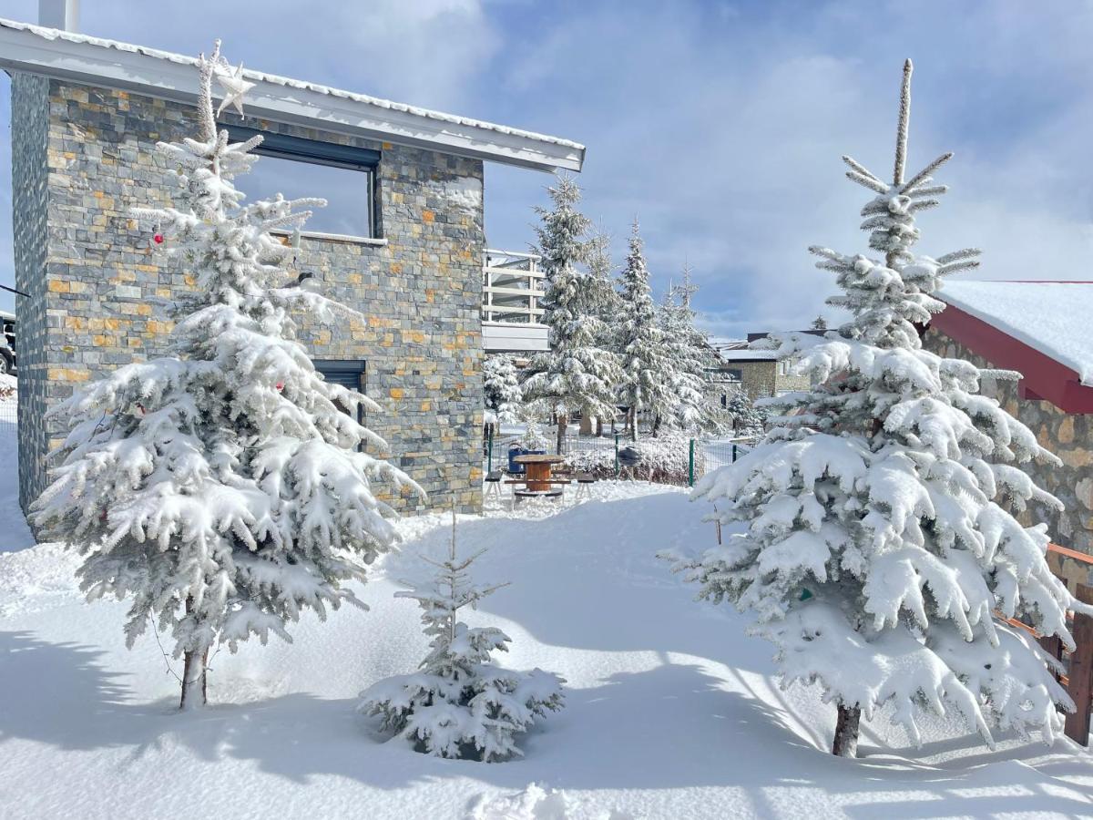 Villa 80 Kodra E Diellit Kalkandelen Dış mekan fotoğraf